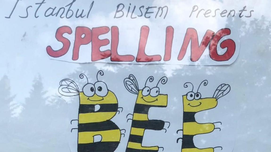 “Spelling Bee” Yarışması